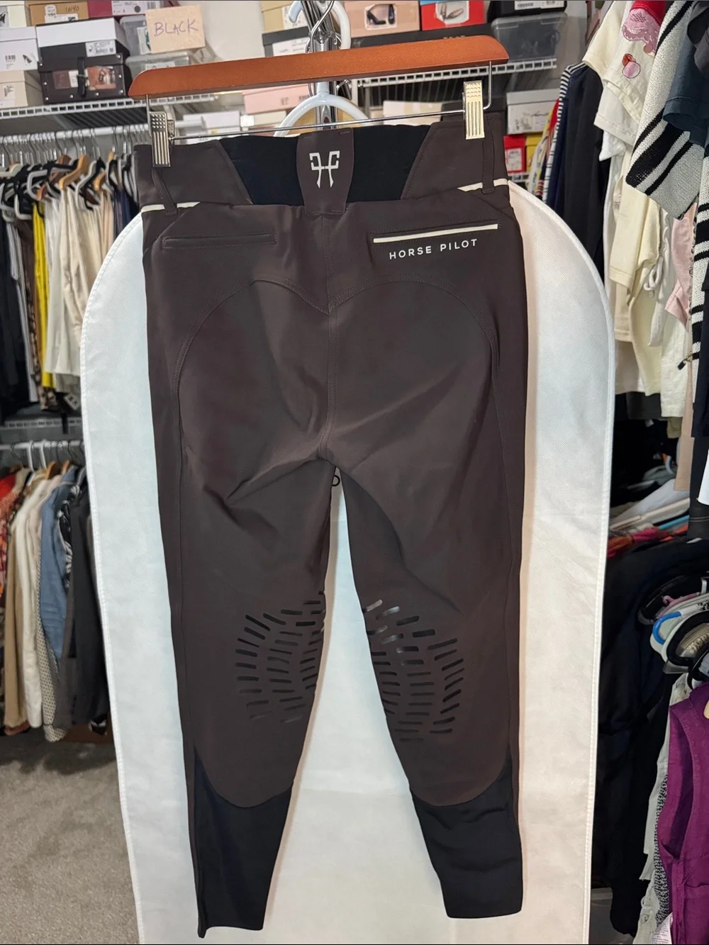 Horse Pilot Brown Women's X-Perform Riding Breeches with Cream Trim - Picture 2 of 6